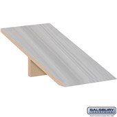 Sloping Hood-for Premier Open Access & Gear Locker-24" Deep